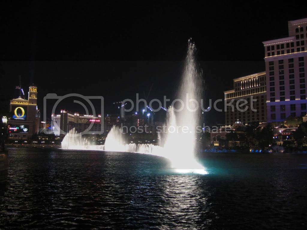 IMG_2517.jpg