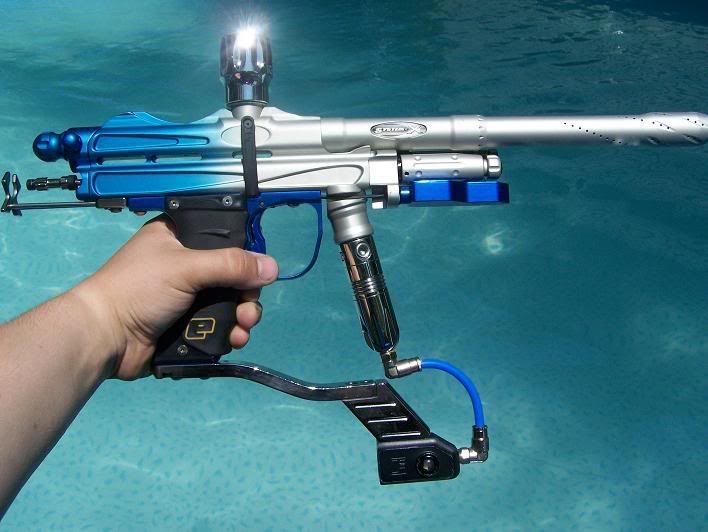 cocker8.jpg