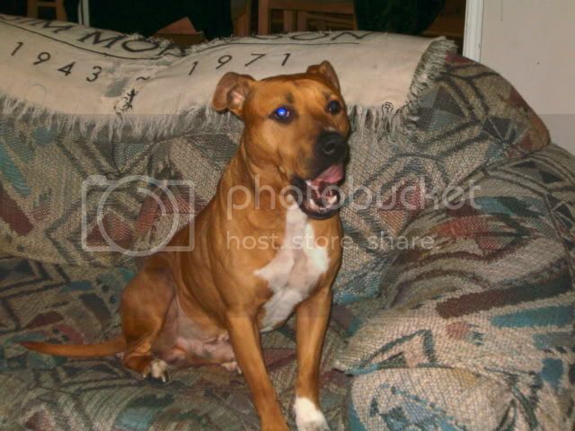 Rocky014.jpg