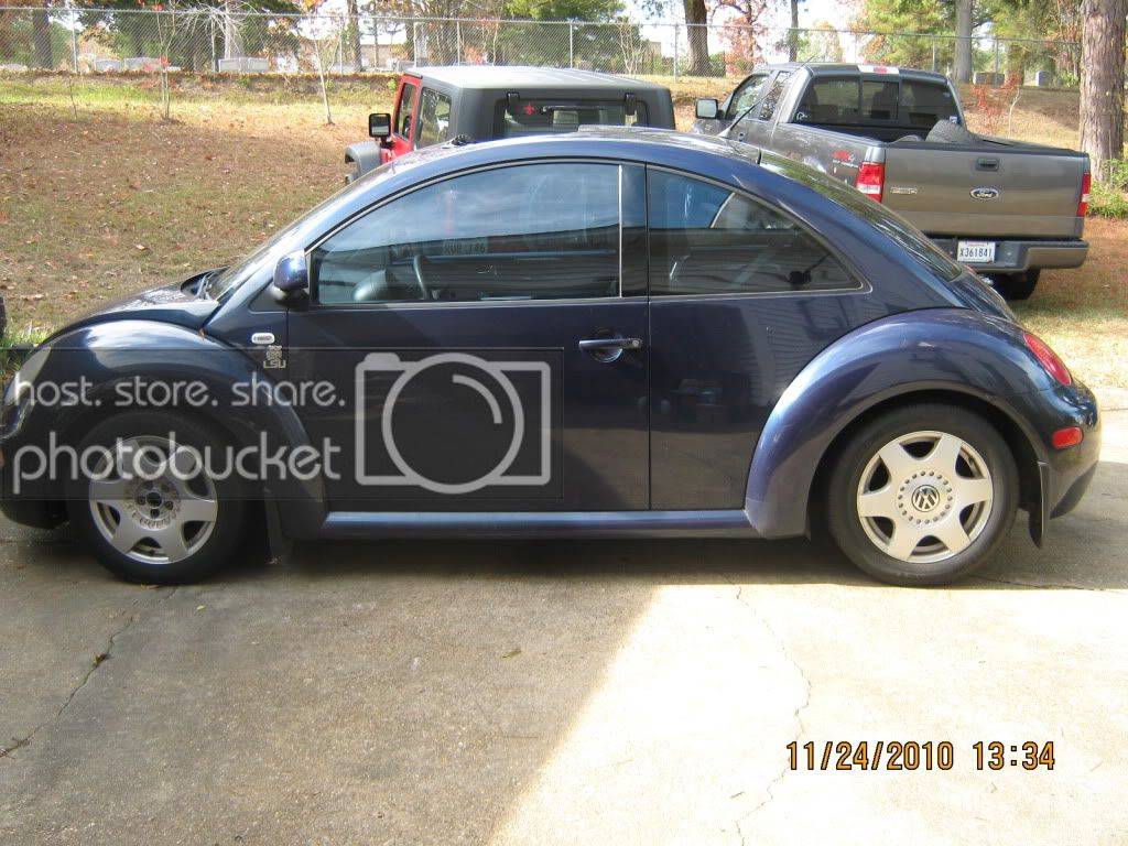 bug002-1.jpg
