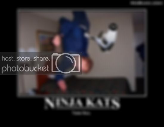 ninjacat.jpg