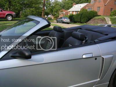 Mustang0126.jpg