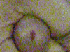 2s1oygh.gif