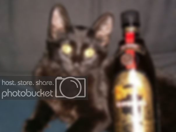 Kahlua.jpg