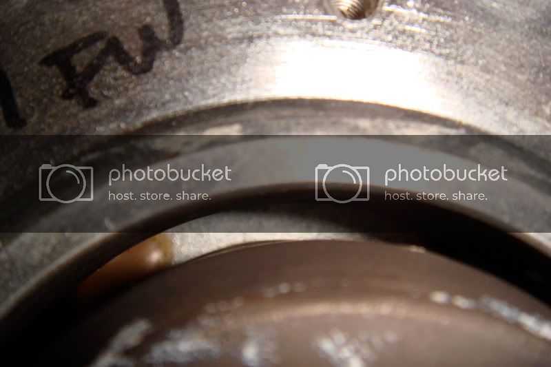 DSC00479.jpg