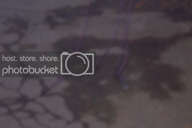 twistedpairs.jpg