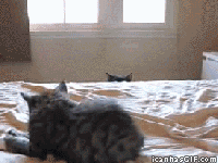 X3tj3.gif