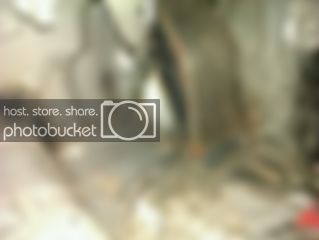 imagejpeg_2_12.jpg