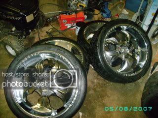 2009March412.jpg