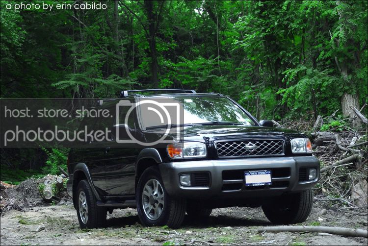 dsc089711mb.jpg