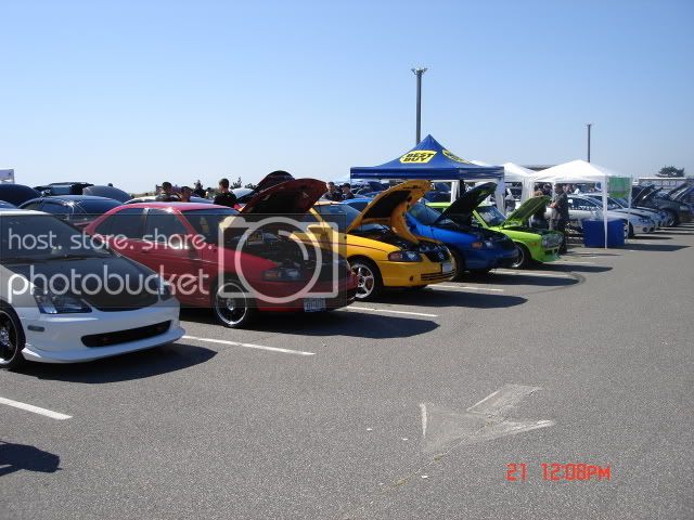 Picture2696.jpg