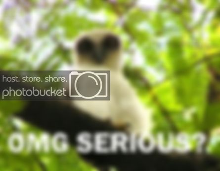 omgserious.jpg