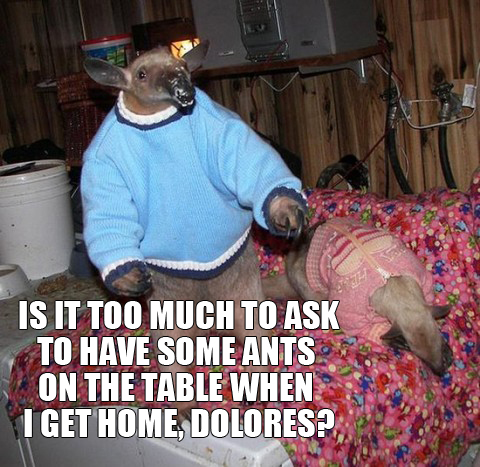 toomuch2ask.jpg
