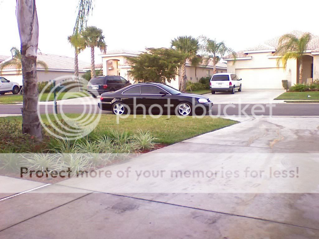 472431848_ORIG.jpg