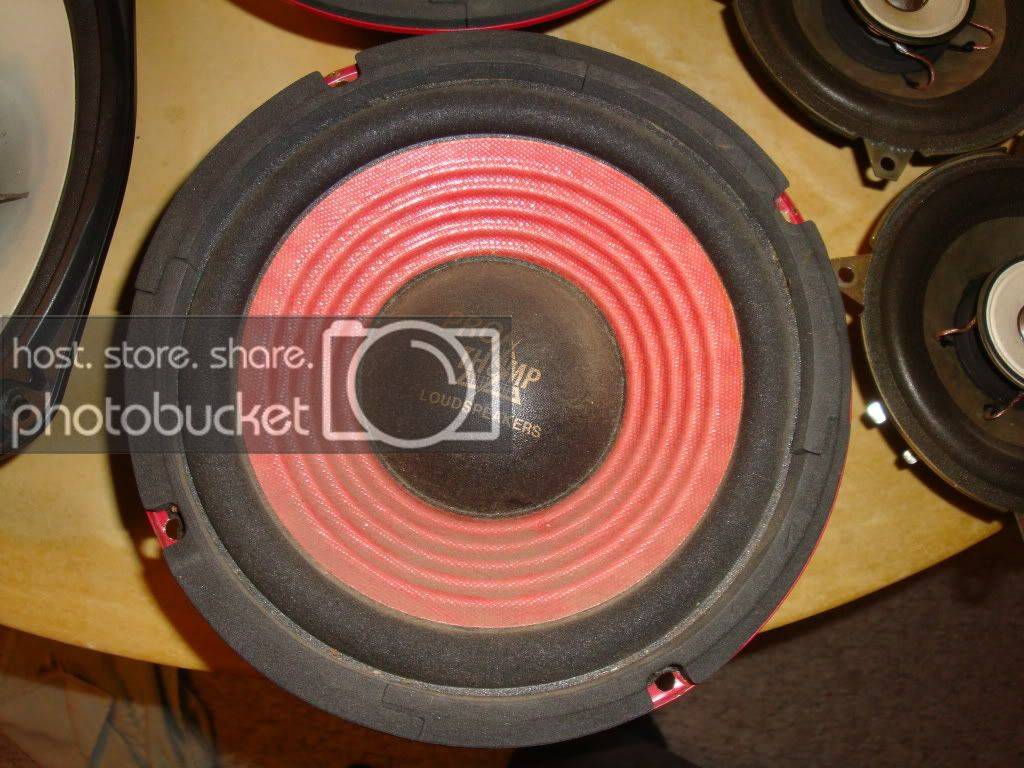 DSC01210.jpg