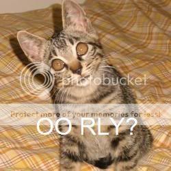 orly.jpg