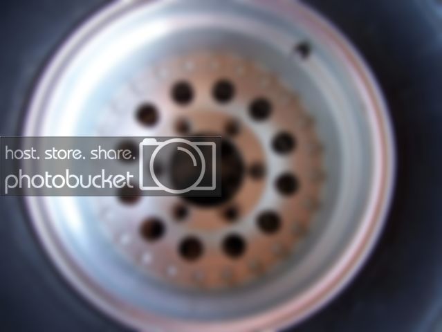 100_3906.jpg