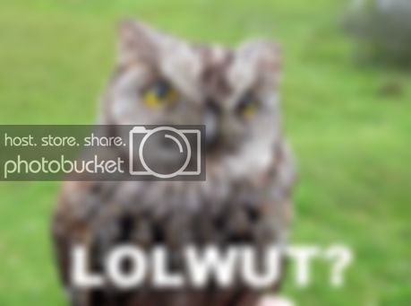 lolwut.jpg