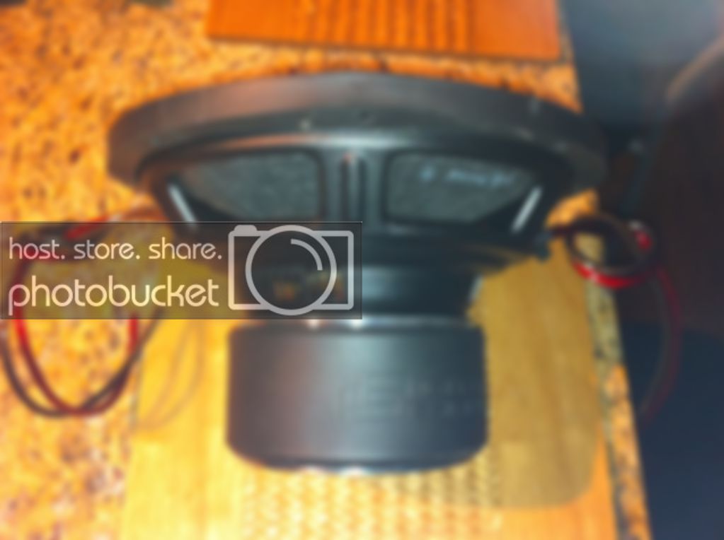 photo4.jpg
