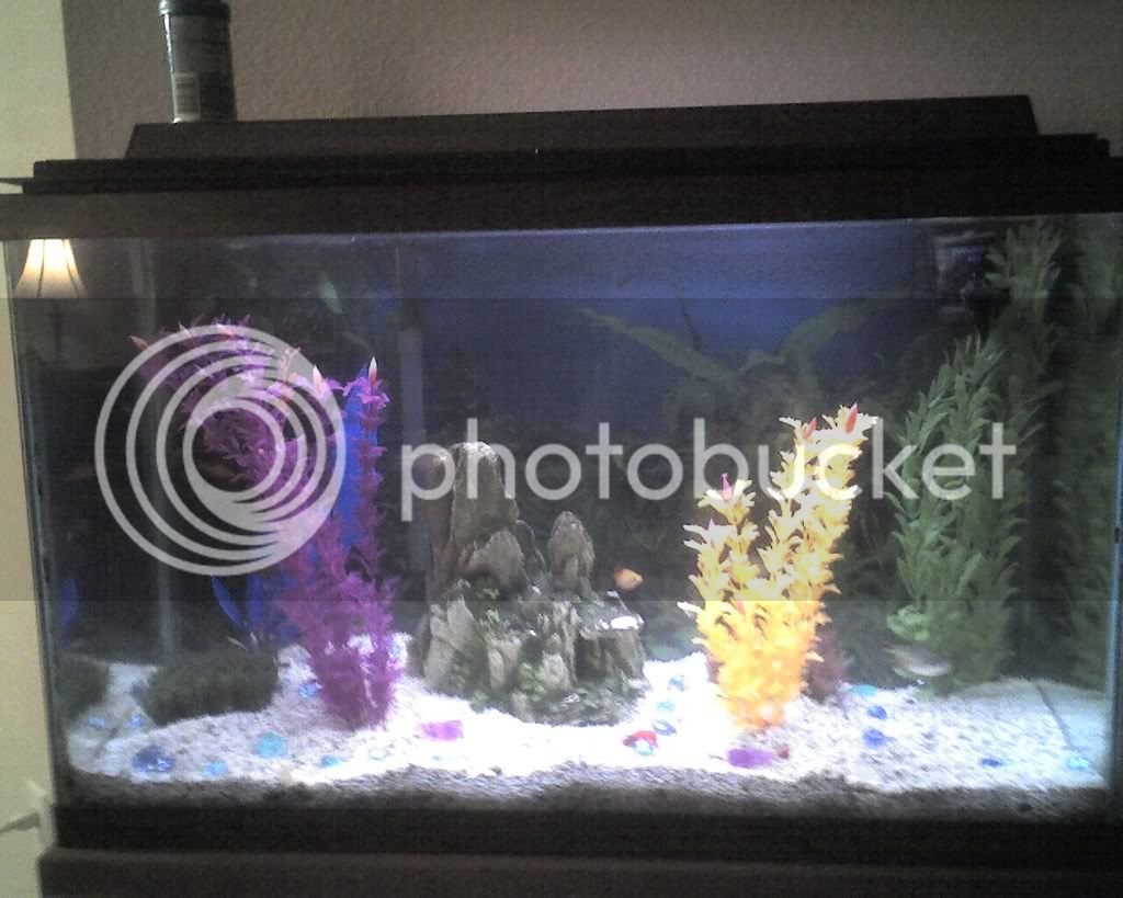 fishtank.jpg