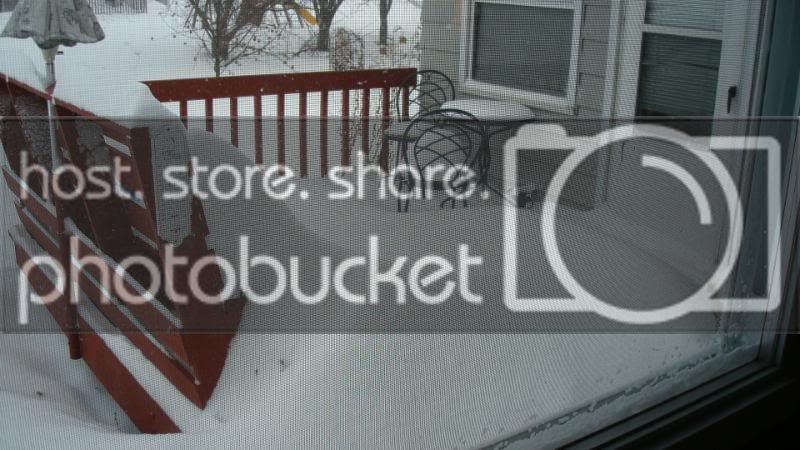 snowfall121908022.jpg