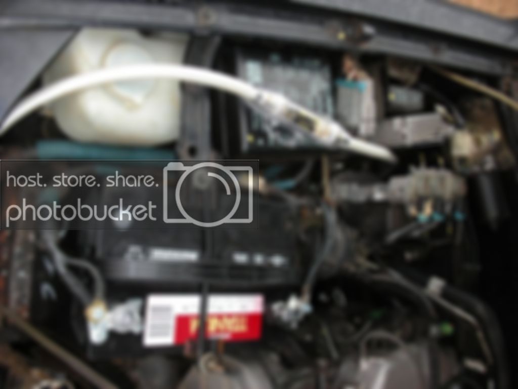 DSCN1563.jpg