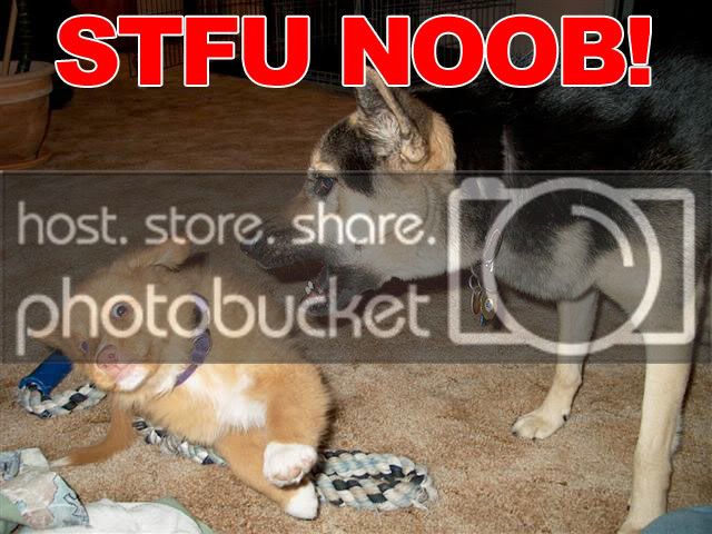 stfu_noob.jpg