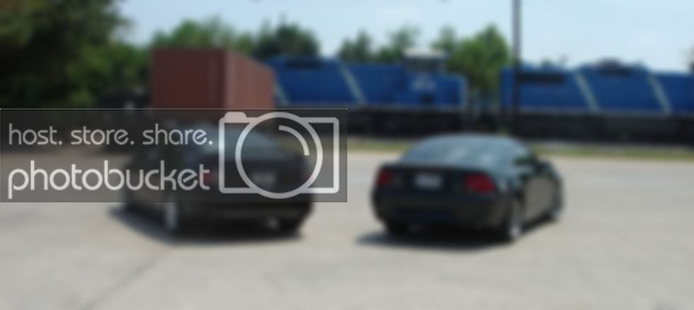 Copyofnewcars016.jpg