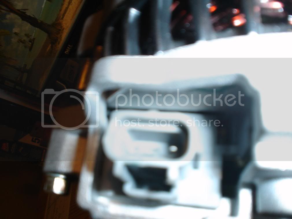 DSC02236.jpg