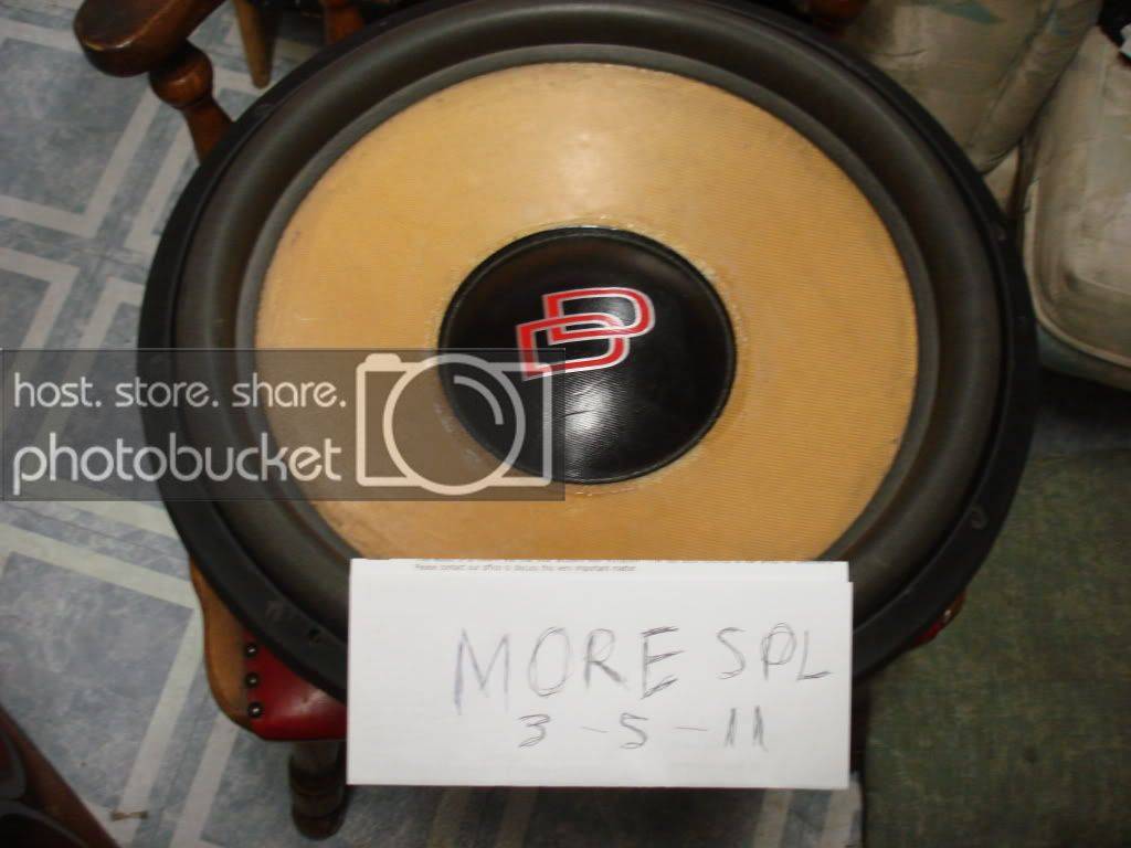 dd9918002.jpg