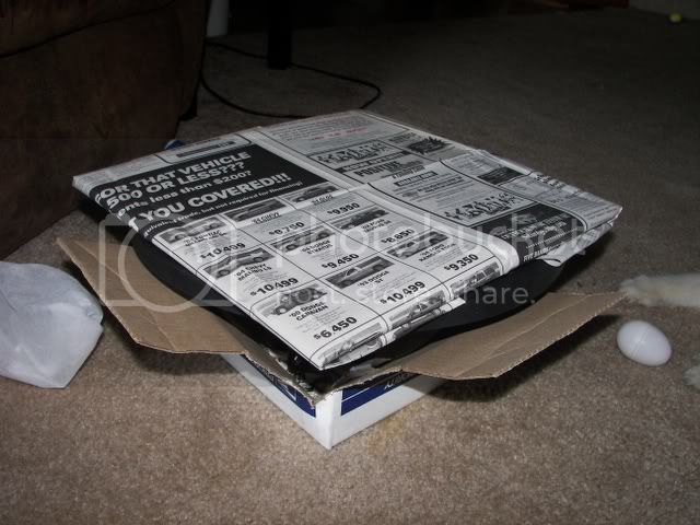 100_6738_640_480.jpg