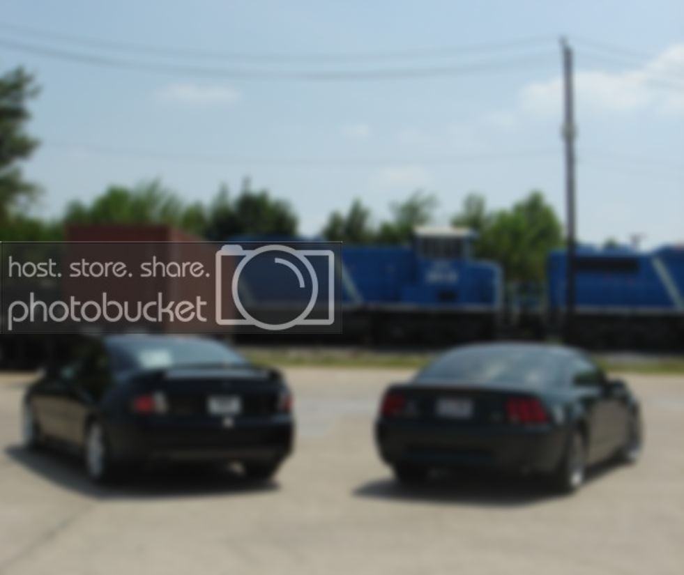 Copyofnewcars015.jpg