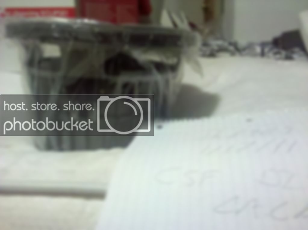 IMG_20110117_180644.jpg