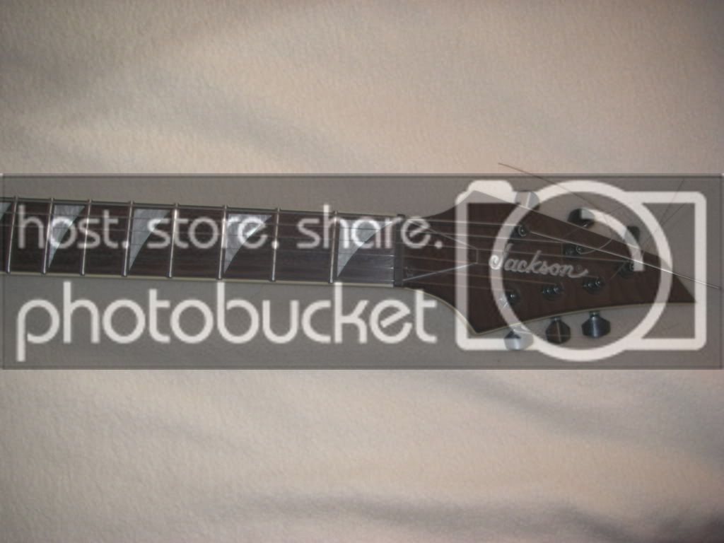 IMGP0002.jpg