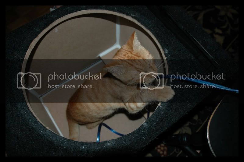 DSC_0100.jpg