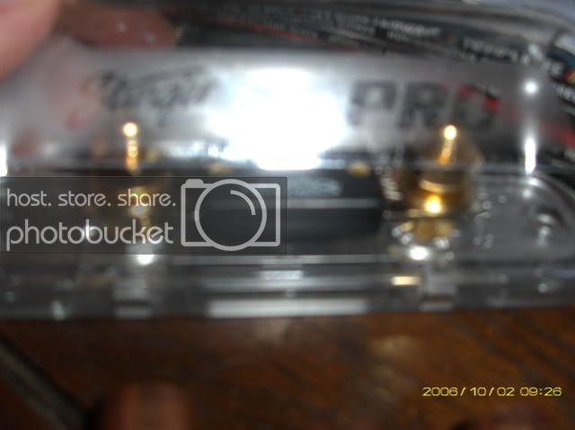 MYDC0088-1.jpg