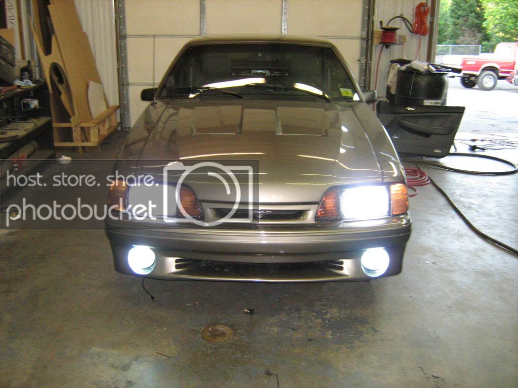 Picture003.jpg