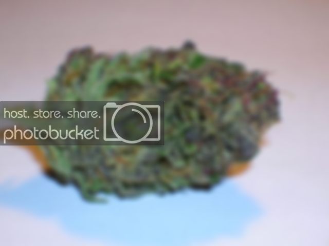 c5b6c5df.jpg