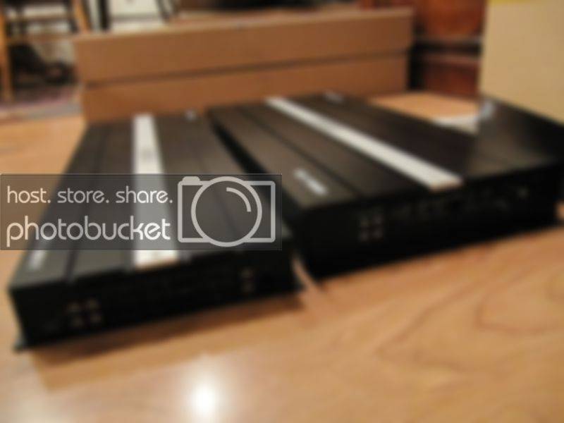 Hoghunt2-13-11021.jpg