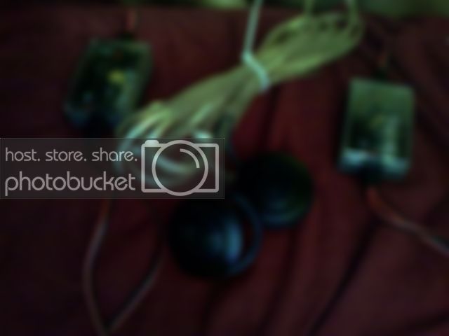 Snapshot_20090712_2.jpg