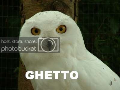 geto.jpg