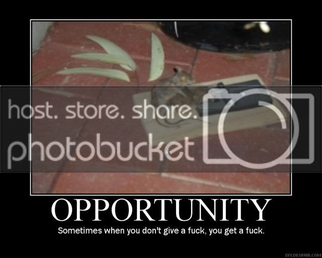 oppurtunityil6.jpg