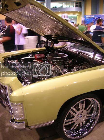 DUBSHOW06060.jpg