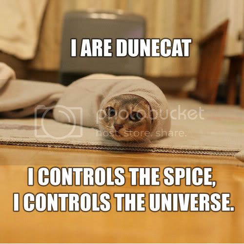 dunecatqh01.jpg
