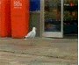 d57db27e.gif