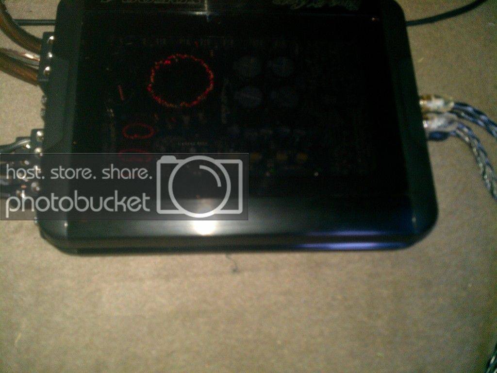 IMAG0265jpgplainamp.jpg