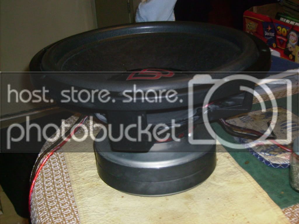 IMGP0179.jpg