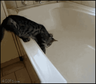 kbGmt.gif