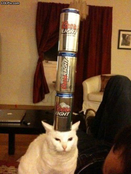 Funny_Pictures_10948.jpg