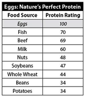 egg-nature-trick.jpg